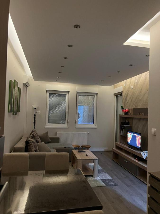 Apartment Dana Banja Koviljača Exteriör bild