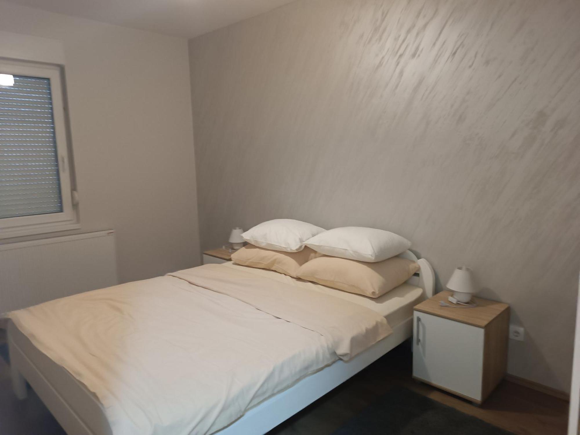Apartment Dana Banja Koviljača Rum bild